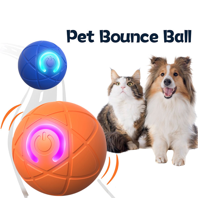 Chewie – The Ultimate Bouncing Ball
