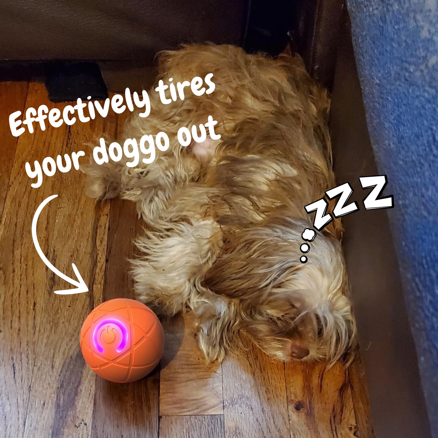 Chewie – The Ultimate Bouncing Ball